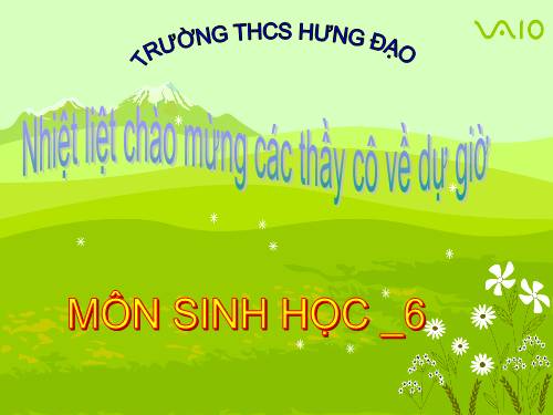 Bài 13. Cấu tạo ngoài của thân