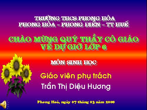 Bài 39. Quyết - Cây dương xỉ