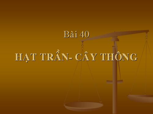 Bài 40. Hạt trần - Cây thông