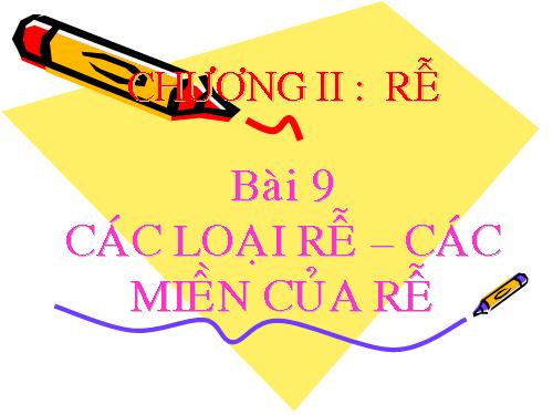 Bài 9. Các loại rễ, các miền của rễ