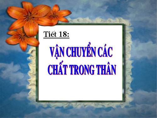 Bài 17. Vận chuyển các chất trong thân