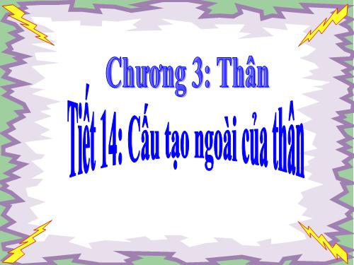 Bài 13. Cấu tạo ngoài của thân