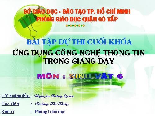 Bài 22. Ảnh hưởng của các điều kiện bên ngoài đến quang hợp, ý nghĩa của quang hợp