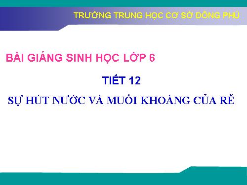 Bài 11. Sự hút nước và muối khoáng của rễ