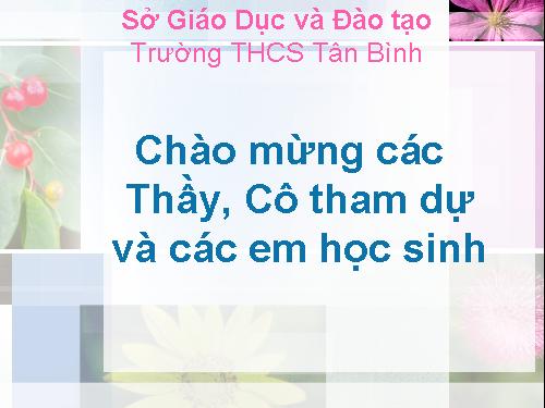 Bài 13. Cấu tạo ngoài của thân