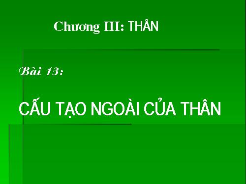 Bài 13. Cấu tạo ngoài của thân