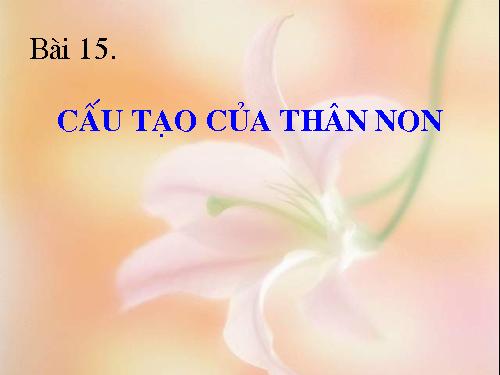 Bài 15. Cấu tạo trong của thân non