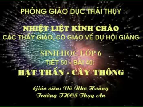 Bài 40. Hạt trần - Cây thông