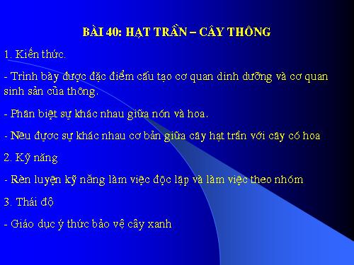 Bài 40. Hạt trần - Cây thông