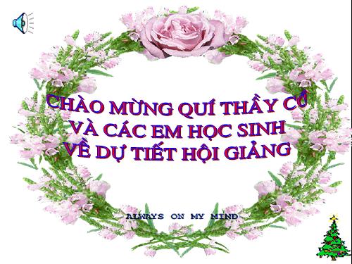 Bài 15. Cấu tạo trong của thân non