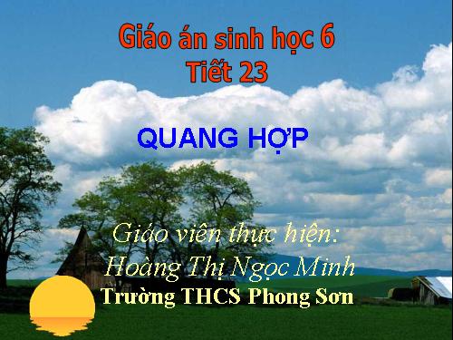 Bài 21. Quang hợp