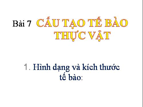 Bài 7. Cấu tạo tế bào thực vật