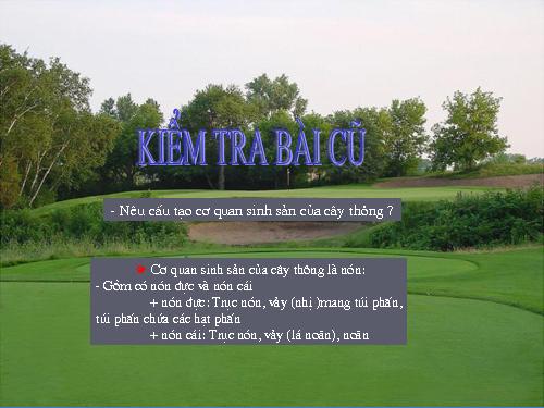 Bài 41. Hạt kín - Đặc điểm của thực vật Hạt kín