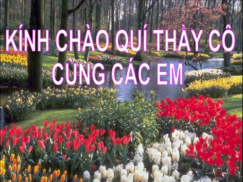 Bài 41. Hạt kín - Đặc điểm của thực vật Hạt kín