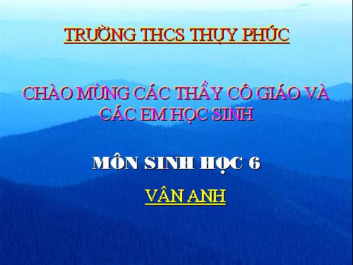 Bài 15. Cấu tạo trong của thân non