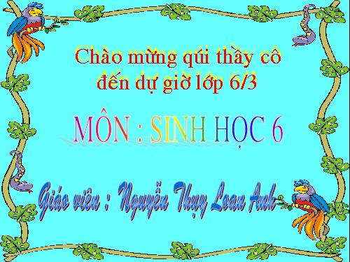 Bài 45. Nguồn gốc cây trồng