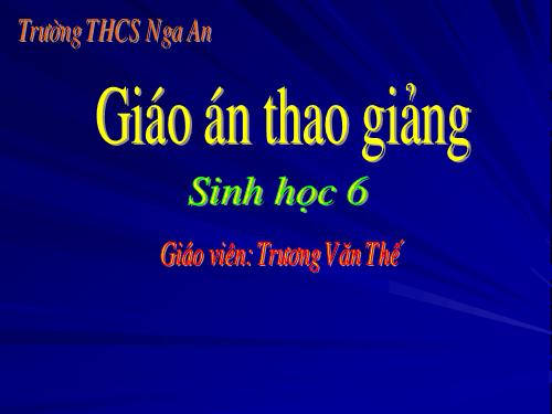 Bài 24. Phần lớn nước vào cây đi đâu?