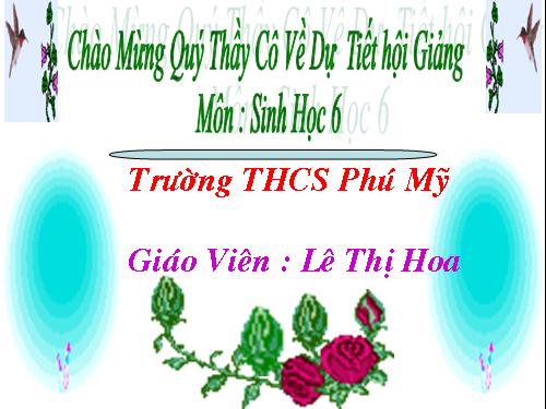 Bài 48. Vai trò của thực vật đối với động vật và đối với đời sống con người