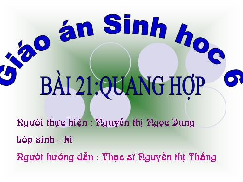 Bài 21. Quang hợp