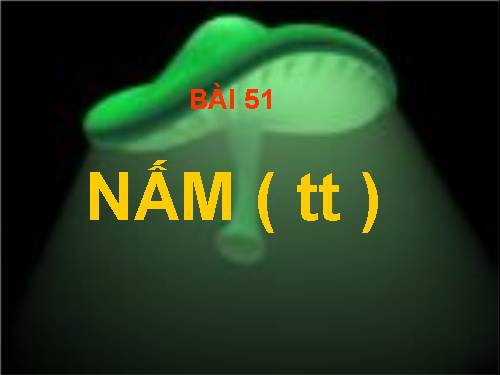 Bài 51. Nấm