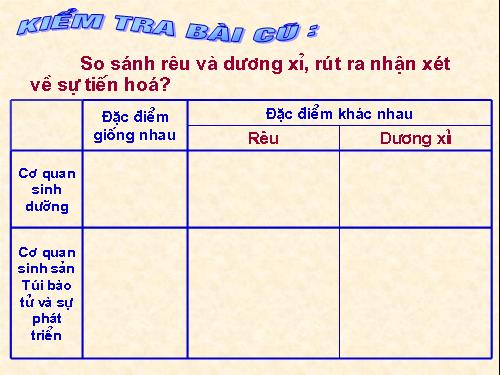 Bài 40. Hạt trần - Cây thông