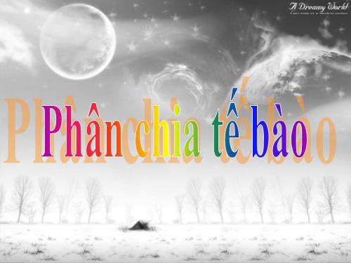 Bài 8. Sự lớn lên và phân chia của tế bào