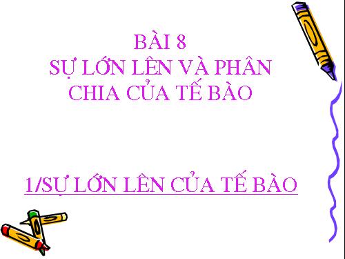 Bài 8. Sự lớn lên và phân chia của tế bào