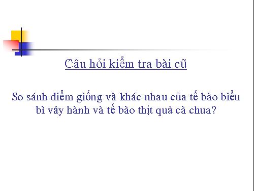 Bài 7. Cấu tạo tế bào thực vật