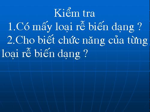 Bài 13. Cấu tạo ngoài của thân