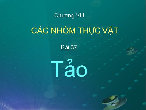 Bài 37. Tảo