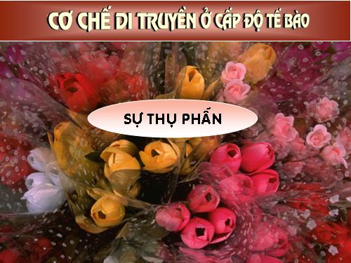 Bài 30. Thụ phấn