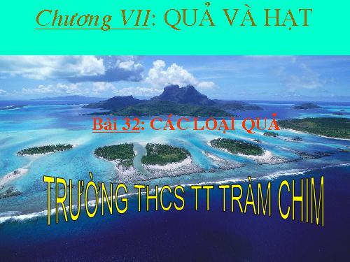 Bài 32. Các loại quả