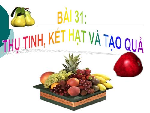 Bài 31. Thụ tinh, kết quả và tạo hạt