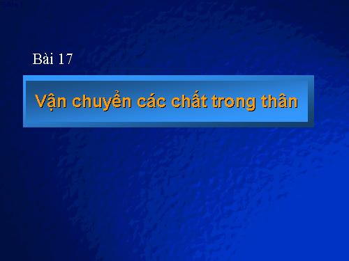 Bài 17. Vận chuyển các chất trong thân