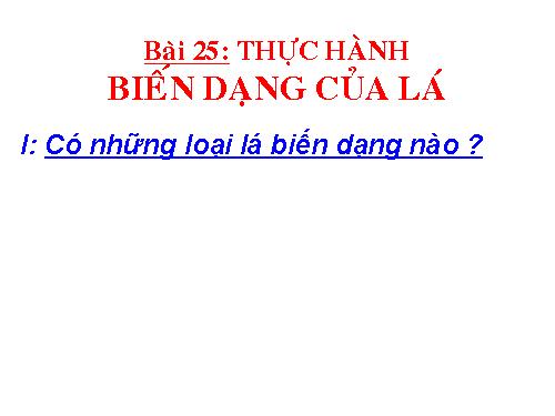 Bài 25. Biến dạng của lá