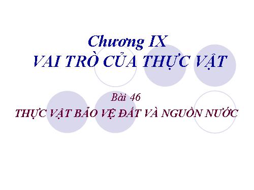 Bài 47. Thực vật bảo vệ đất và nguồn nước