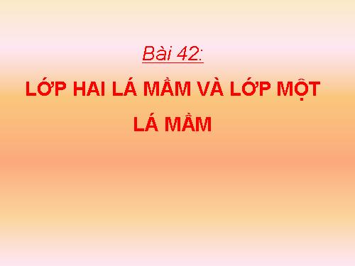 Bài 42. Lớp Hai lá mầm và lớp Một lá mầm