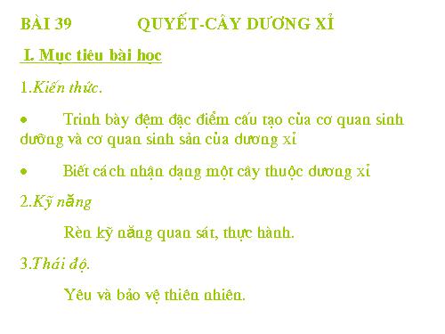 Bài 39. Quyết - Cây dương xỉ