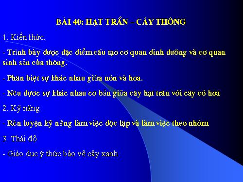 Bài 40. Hạt trần - Cây thông