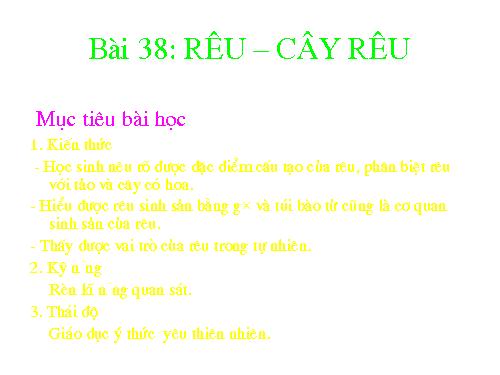 Bài 38. Rêu - Cây rêu