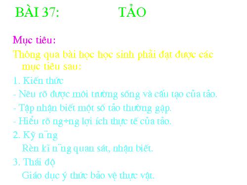 Bài 37. Tảo