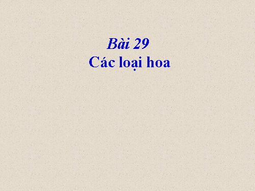 Bài 29. Các loại hoa