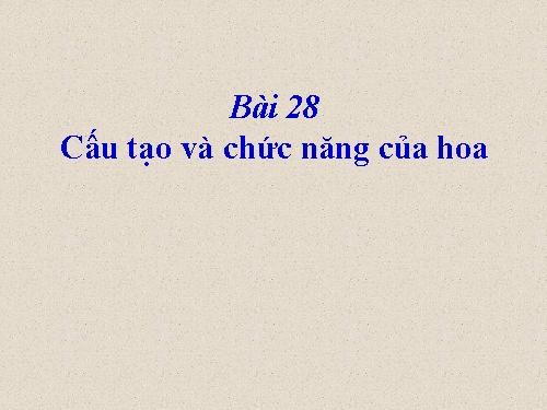 Bài 28. Cấu tạo và chức năng của hoa