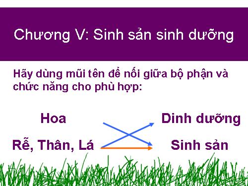 Bài 26. Sinh sản sinh dưỡng tự nhiên