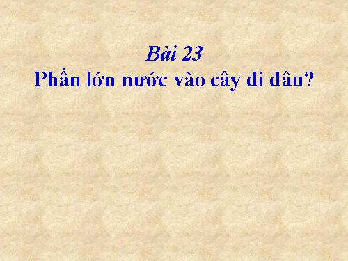 Bài 24. Phần lớn nước vào cây đi đâu?