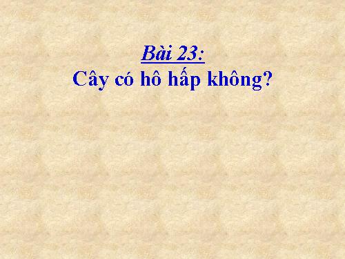 Bài 23. Cây có hô hấp không?