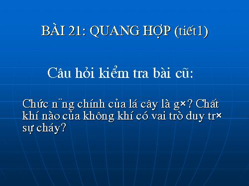 Bài 21. Quang hợp