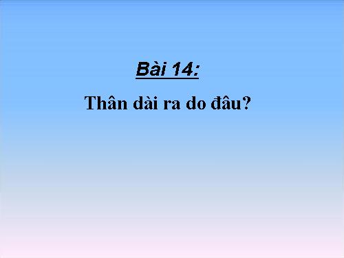 Bài 14. Thân dài ra do đâu ?