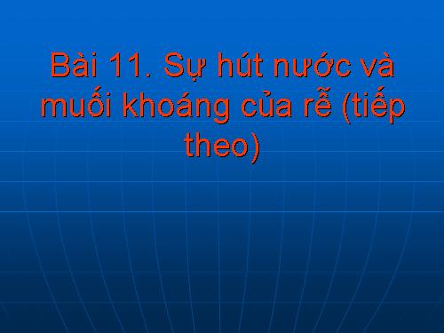 Bài 11. Sự hút nước và muối khoáng của rễ