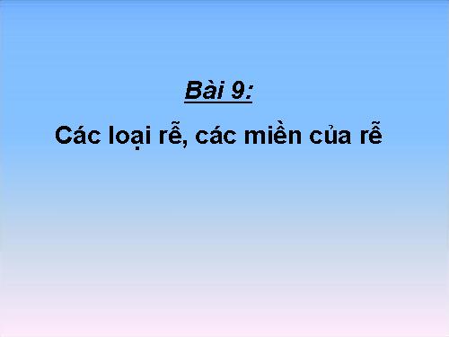 Bài 9. Các loại rễ, các miền của rễ